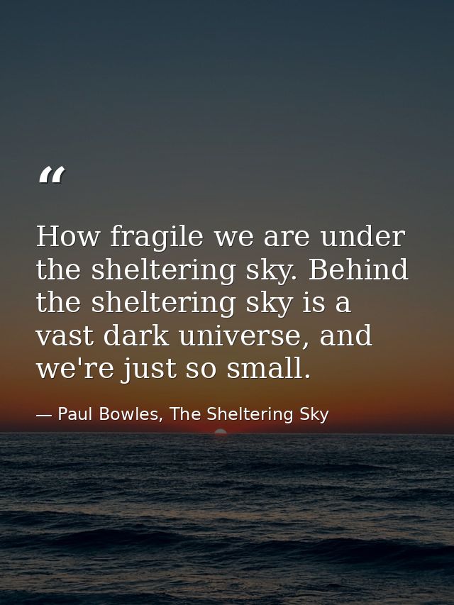 How fragile we are under the sheltering sky. Behind the sheltering sky is a vast dark universe, and we're just so small. — Paul Bowles, The Sheltering Sky