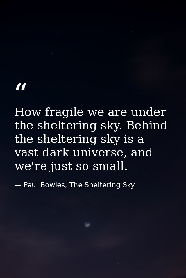How fragile we are under the sheltering sky. Behind the sheltering sky is a vast dark universe, and we're just so small. — Paul Bowles, The Sheltering Sky