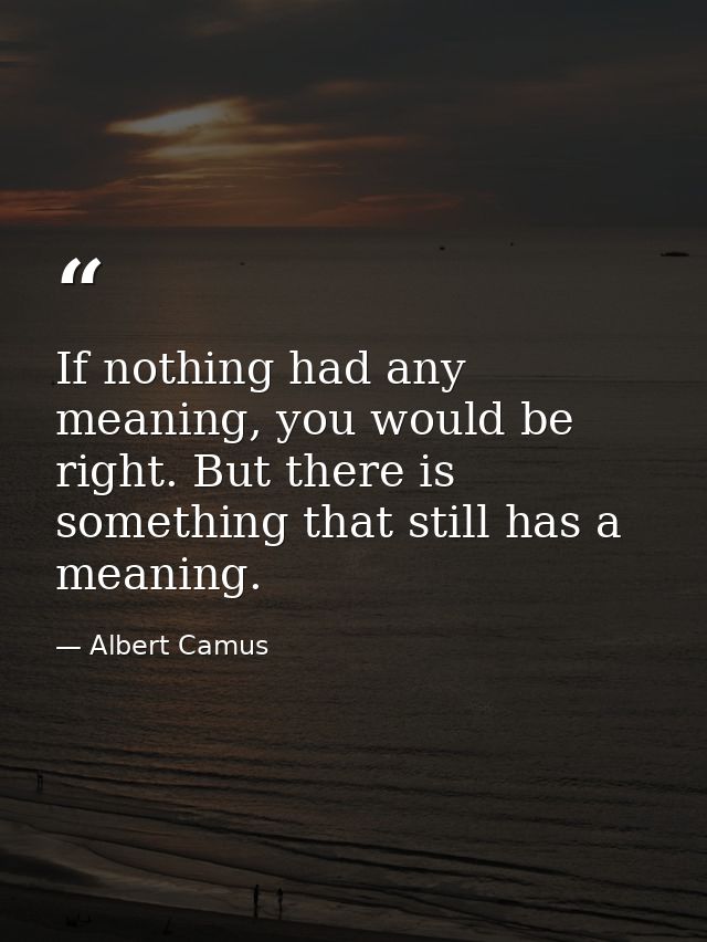 If nothing had any meaning, you would be right. But there is something that still has a meaning. — Albert Camus