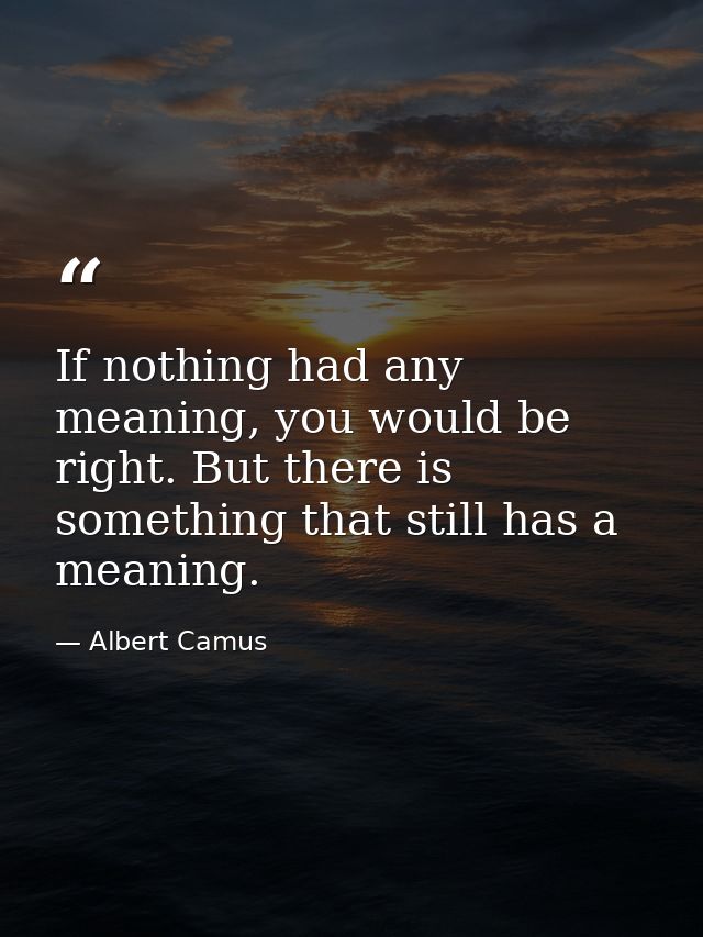 If nothing had any meaning, you would be right. But there is something that still has a meaning. — Albert Camus