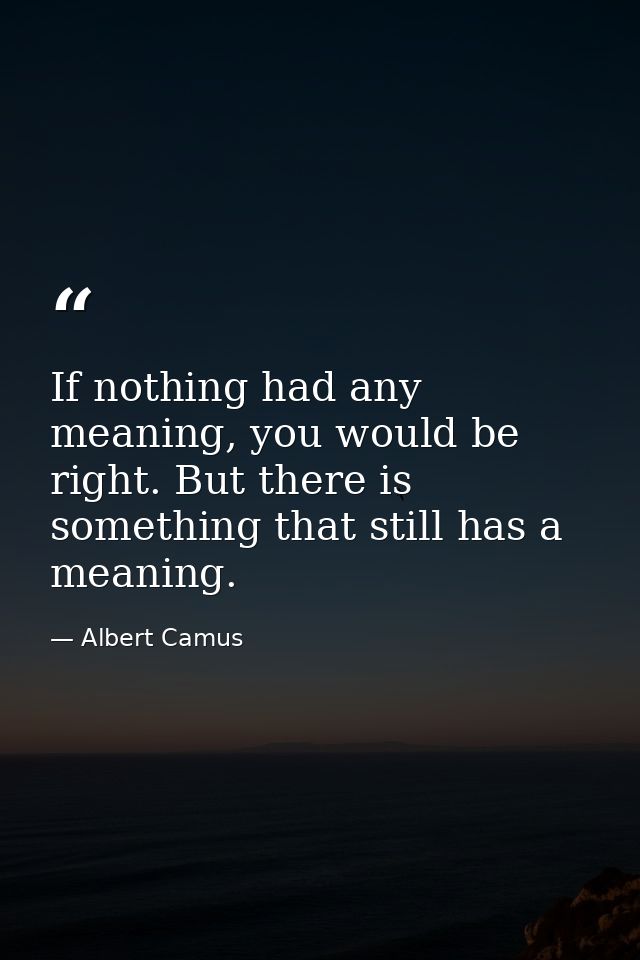 If nothing had any meaning, you would be right. But there is something that still has a meaning. — Albert Camus