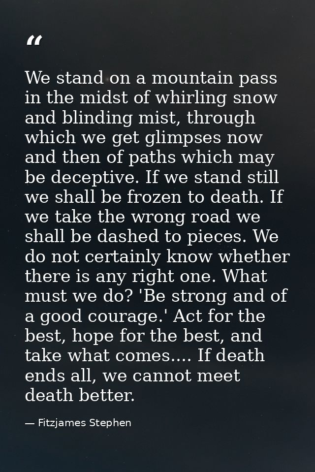 We stand on a mountain pass in the midst of whirling snow and blinding mist, through which we get glimpses now and then  — Fitzjames Stephen