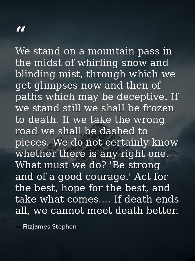 We stand on a mountain pass in the midst of whirling snow and blinding mist, through which we get glimpses now and then  — Fitzjames Stephen
