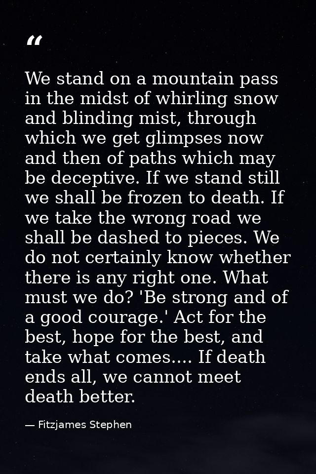 We stand on a mountain pass in the midst of whirling snow and blinding mist, through which we get glimpses now and then  — Fitzjames Stephen