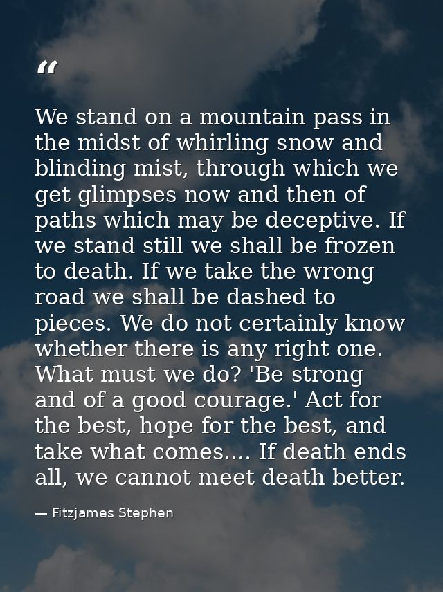 We stand on a mountain pass in the midst of whirling snow and blinding mist, through which we get glimpses now and then  — Fitzjames Stephen