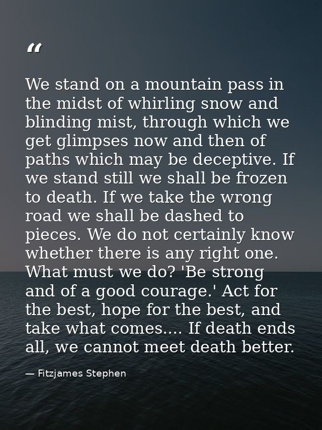 We stand on a mountain pass in the midst of whirling snow and blinding mist, through which we get glimpses now and then  — Fitzjames Stephen