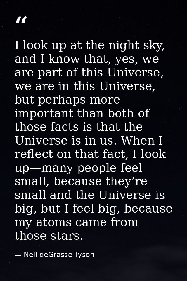 I look up at the night sky, and I know that, yes, we are part of this Universe, we are in this Universe, but perhaps mor — Neil deGrasse Tyson