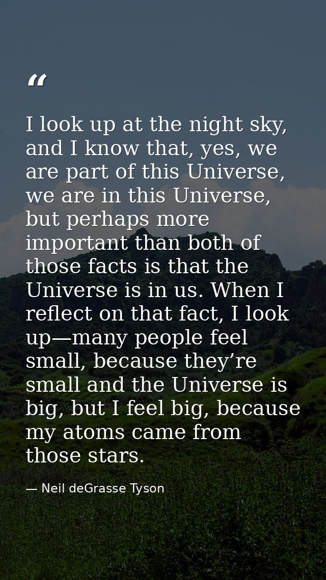 I look up at the night sky, and I know that, yes, we are part of this Universe, we are in this Universe, but perhaps mor — Neil deGrasse Tyson