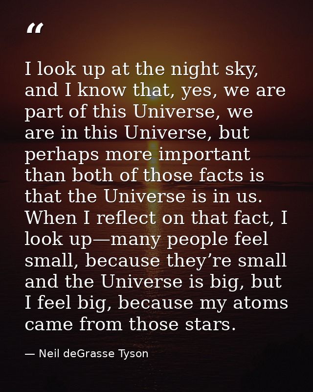 I look up at the night sky, and I know that, yes, we are part of this Universe, we are in this Universe, but perhaps mor — Neil deGrasse Tyson