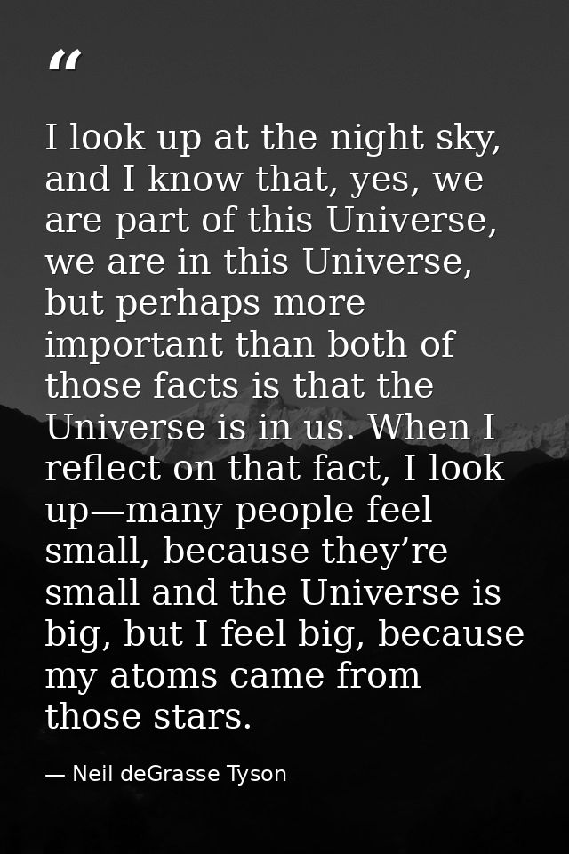 I look up at the night sky, and I know that, yes, we are part of this Universe, we are in this Universe, but perhaps mor — Neil deGrasse Tyson