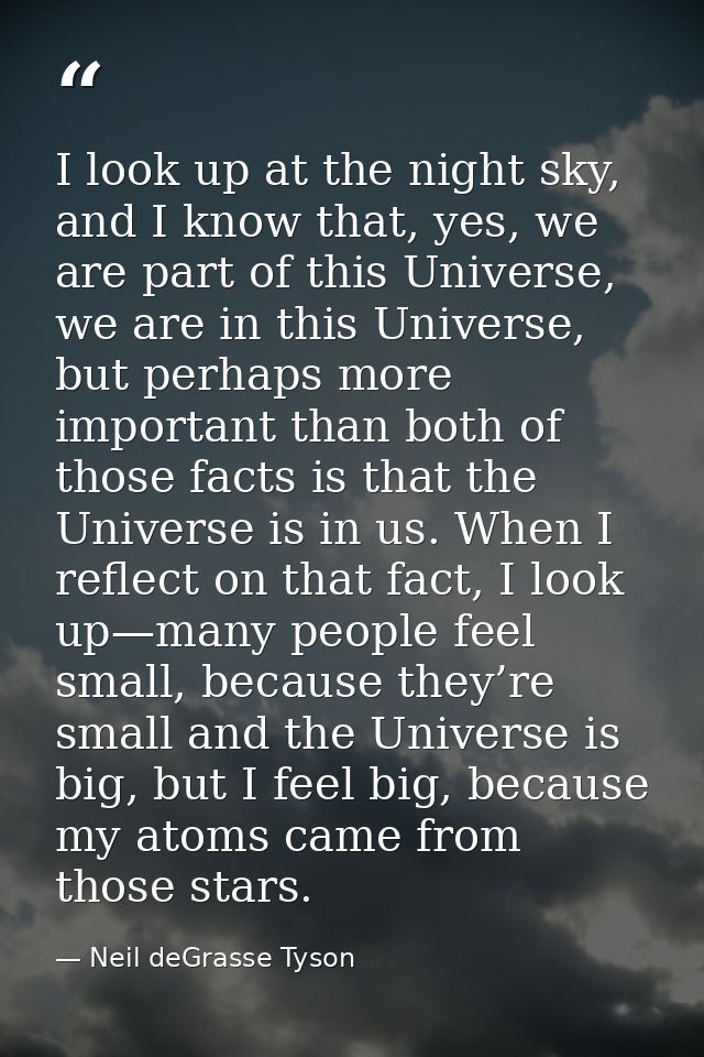 I look up at the night sky, and I know that, yes, we are part of this Universe, we are in this Universe, but perhaps mor — Neil deGrasse Tyson