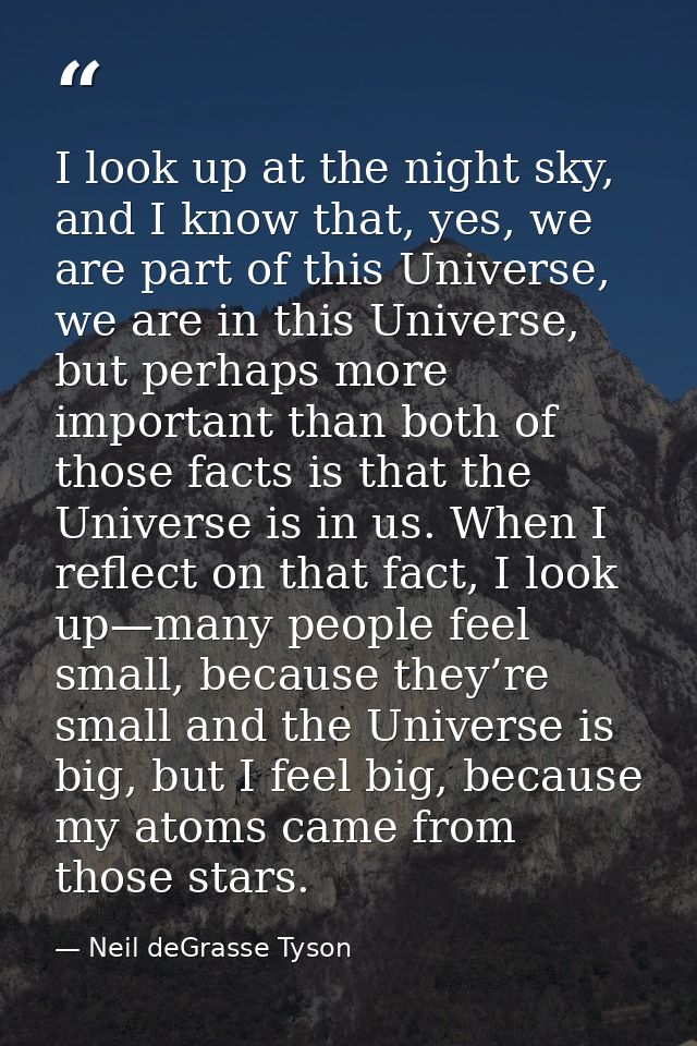 I look up at the night sky, and I know that, yes, we are part of this Universe, we are in this Universe, but perhaps mor — Neil deGrasse Tyson