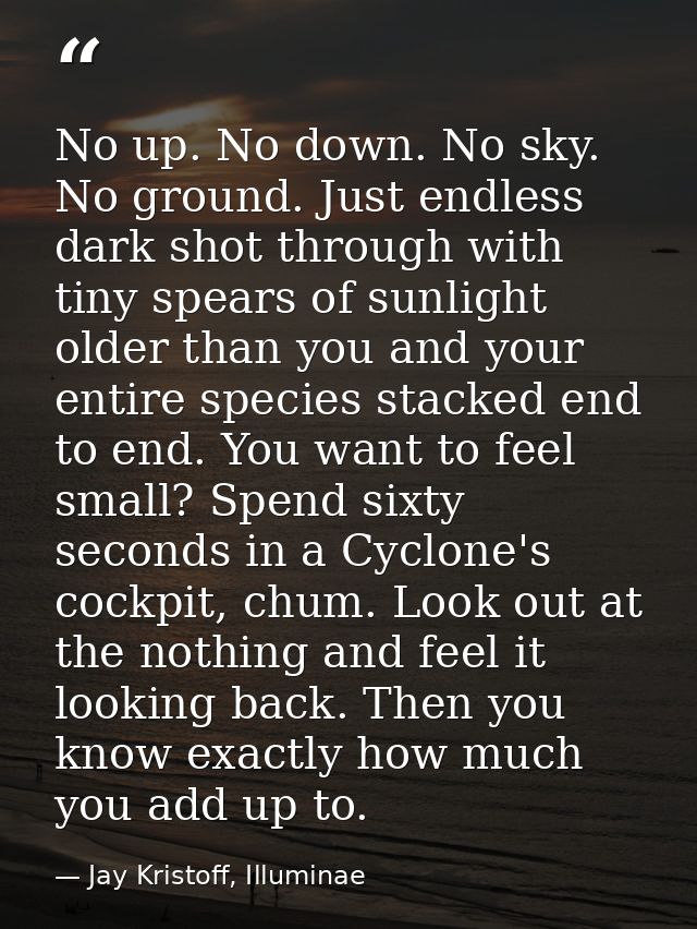 No up. No down. No sky. No ground. Just endless dark shot through with tiny spears of sunlight older than you and your e — Jay Kristoff, Illuminae