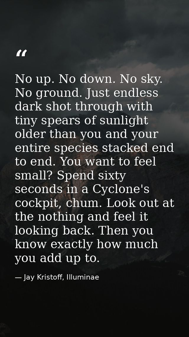 No up. No down. No sky. No ground. Just endless dark shot through with tiny spears of sunlight older than you and your e — Jay Kristoff, Illuminae