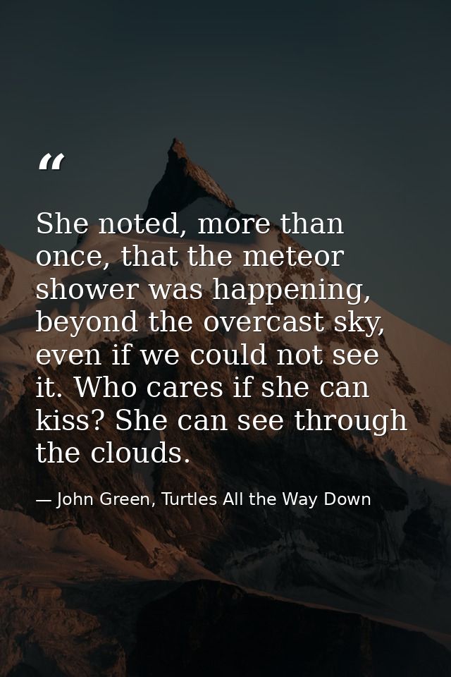 She noted, more than once, that the meteor shower was happening, beyond the overcast sky, even if we could not see it. W — John Green, Turtles All the Way Down