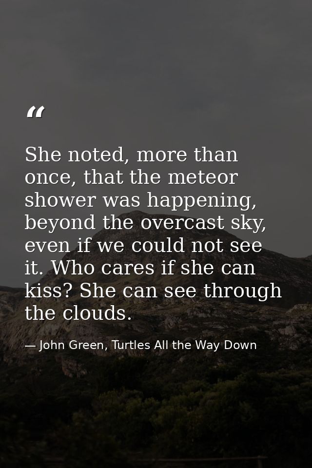 She noted, more than once, that the meteor shower was happening, beyond the overcast sky, even if we could not see it. W — John Green, Turtles All the Way Down