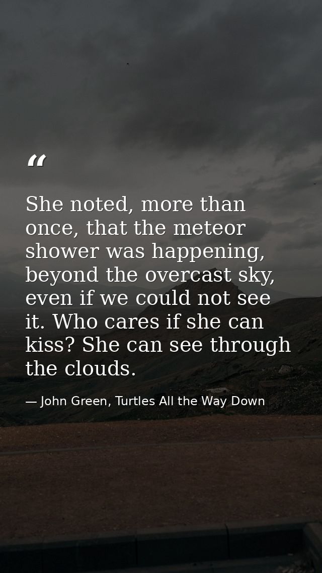 She noted, more than once, that the meteor shower was happening, beyond the overcast sky, even if we could not see it. W — John Green, Turtles All the Way Down