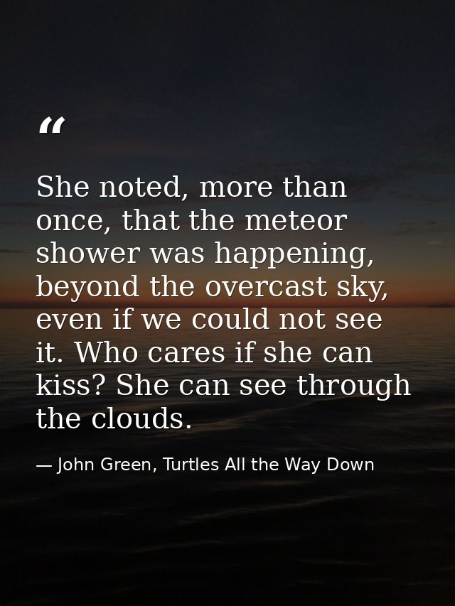 She noted, more than once, that the meteor shower was happening, beyond the overcast sky, even if we could not see it. W — John Green, Turtles All the Way Down