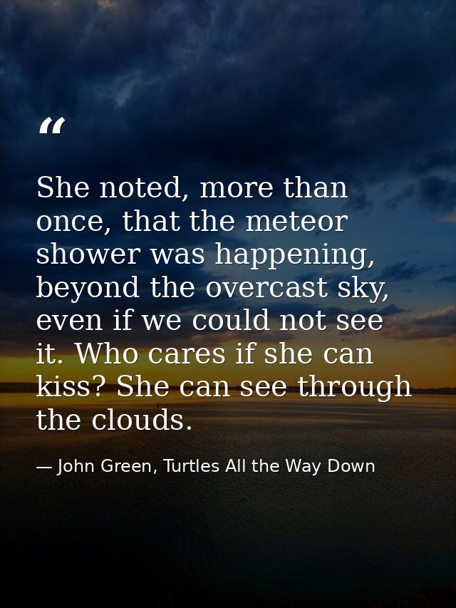 She noted, more than once, that the meteor shower was happening, beyond the overcast sky, even if we could not see it. W — John Green, Turtles All the Way Down