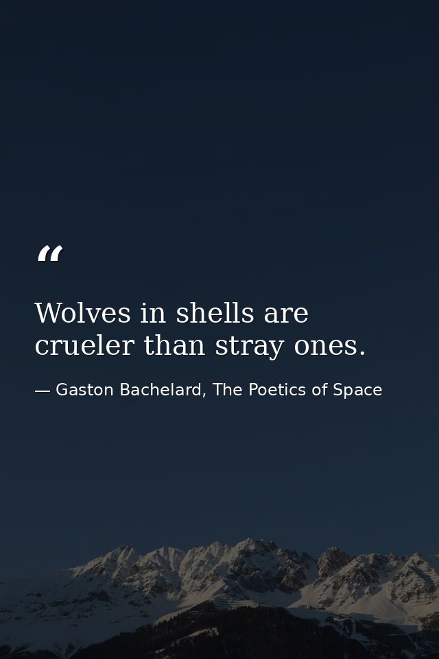 Wolves in shells are crueler than stray ones. — Gaston Bachelard, The Poetics of Space