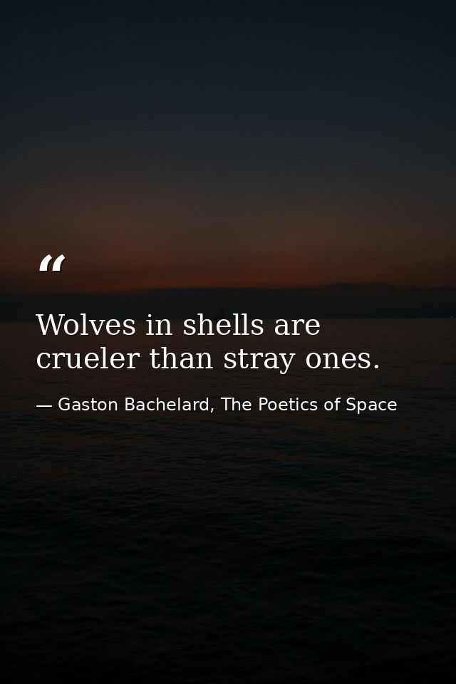 Wolves in shells are crueler than stray ones. — Gaston Bachelard, The Poetics of Space