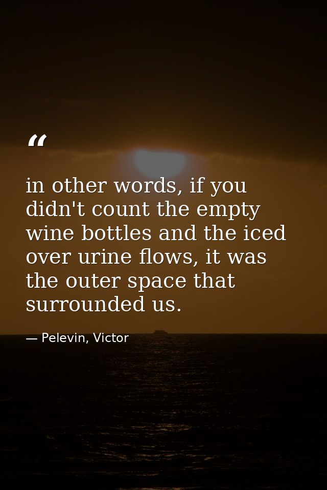 in other words, if you didn't count the empty wine bottles and the iced over urine flows, it was the outer space that su — Pelevin, Victor