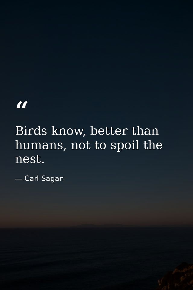 Birds know, better than humans, not to spoil the nest. — Carl Sagan