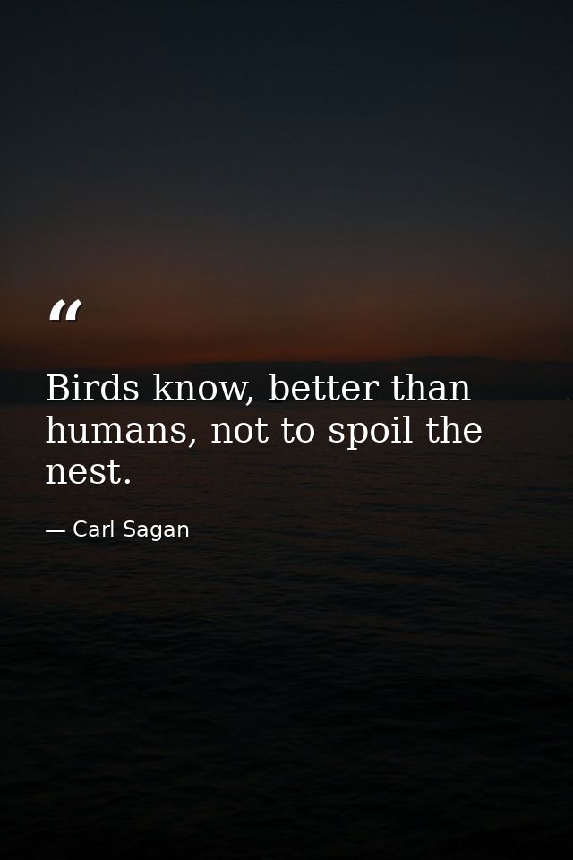 Birds know, better than humans, not to spoil the nest. — Carl Sagan