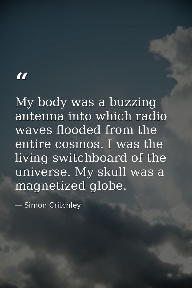 My body was a buzzing antenna into which radio waves flooded from the entire cosmos. I was the living switchboard of the — Simon Critchley