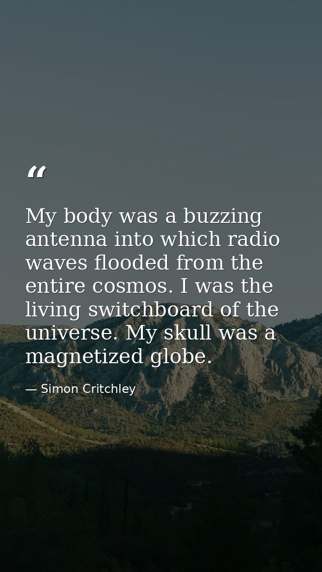 My body was a buzzing antenna into which radio waves flooded from the entire cosmos. I was the living switchboard of the — Simon Critchley