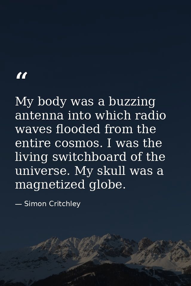 My body was a buzzing antenna into which radio waves flooded from the entire cosmos. I was the living switchboard of the — Simon Critchley