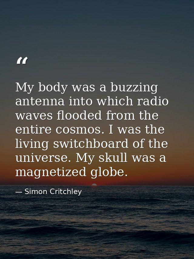My body was a buzzing antenna into which radio waves flooded from the entire cosmos. I was the living switchboard of the — Simon Critchley