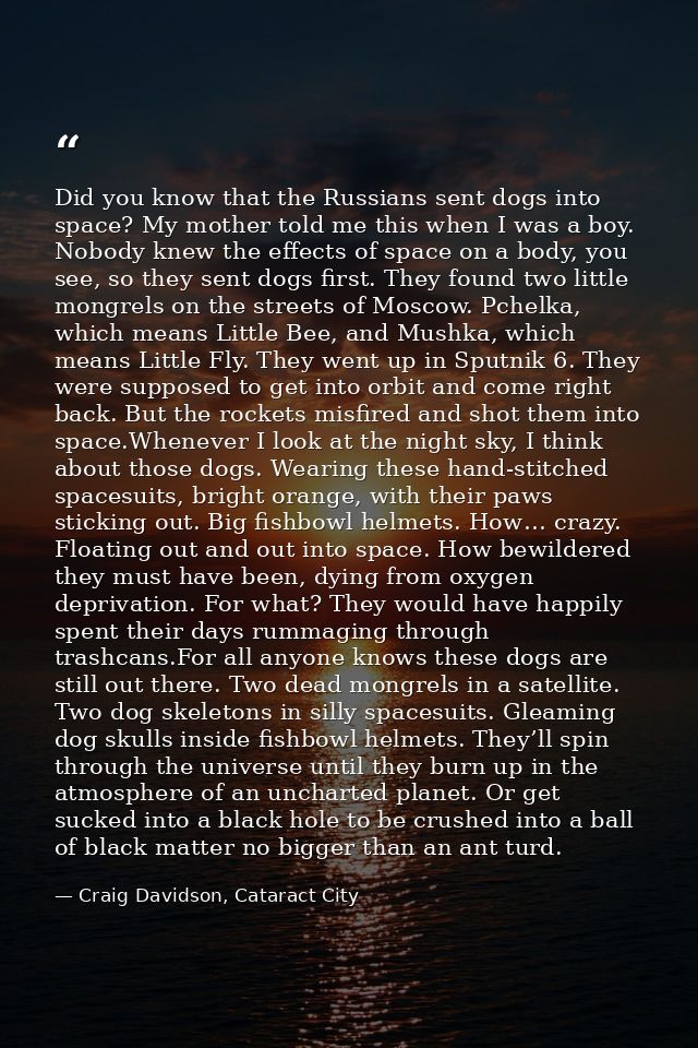 Did you know that the Russians sent dogs into space? My mother told me this when I was a boy. Nobody knew the effects of — Craig Davidson, Cataract City
