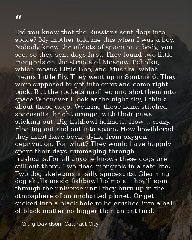 Did you know that the Russians sent dogs into space? My mother told me this when I was a boy. Nobody knew the effects of — Craig Davidson, Cataract City