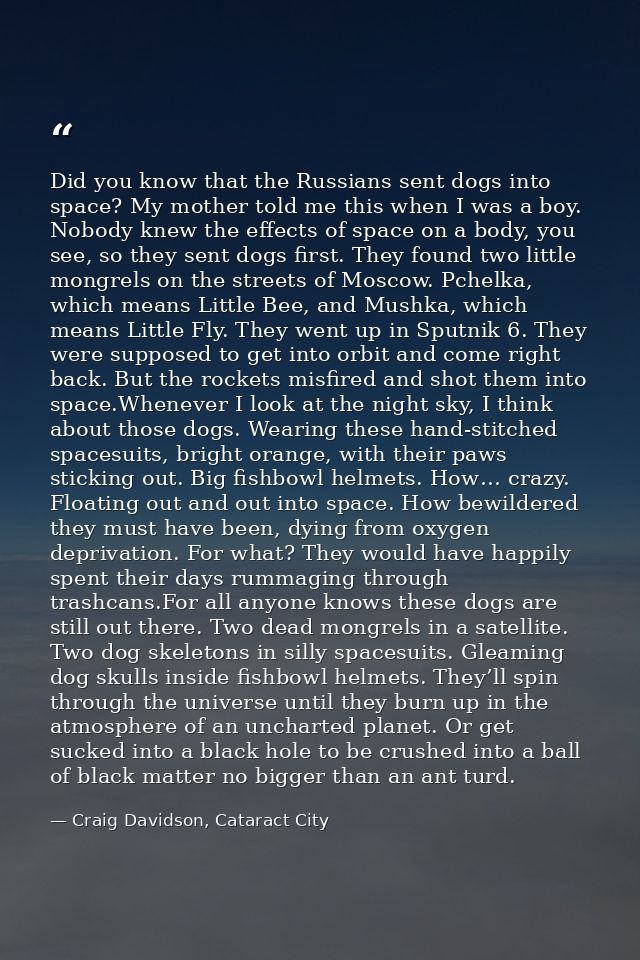 Did you know that the Russians sent dogs into space? My mother told me this when I was a boy. Nobody knew the effects of — Craig Davidson, Cataract City