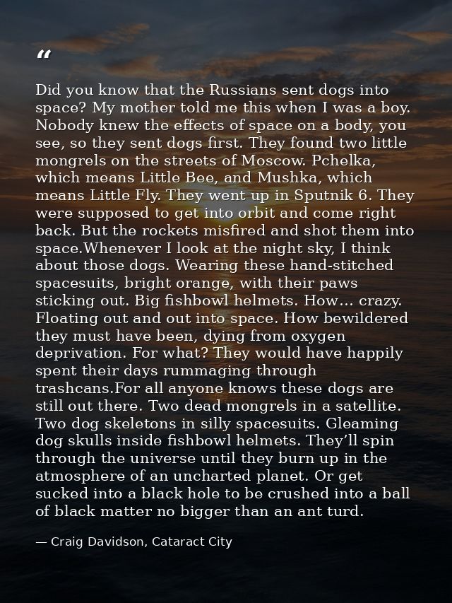 Did you know that the Russians sent dogs into space? My mother told me this when I was a boy. Nobody knew the effects of — Craig Davidson, Cataract City