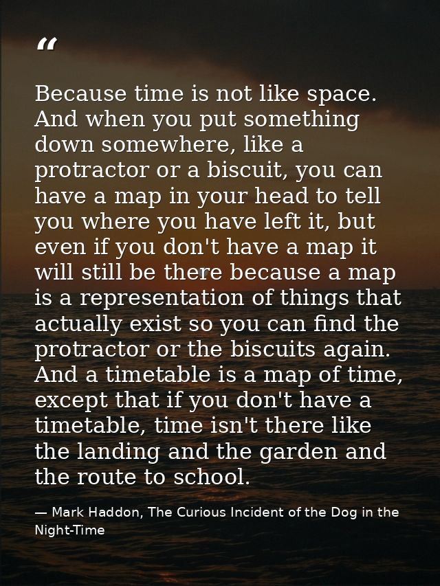 Because time is not like space. And when you put something down somewhere, like a protractor or a biscuit, you can have  — Mark Haddon, The Curious Incident of the Dog in the Night-Time