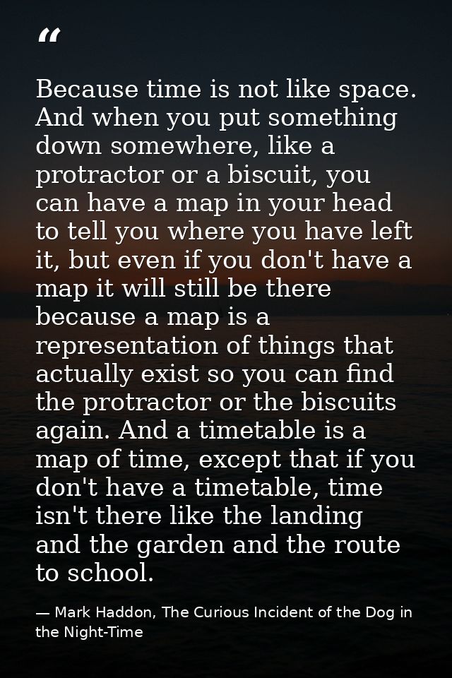 Because time is not like space. And when you put something down somewhere, like a protractor or a biscuit, you can have  — Mark Haddon, The Curious Incident of the Dog in the Night-Time
