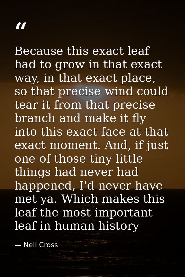 Because this exact leaf had to grow in that exact way, in that exact place, so that precise wind could tear it from that — Neil Cross