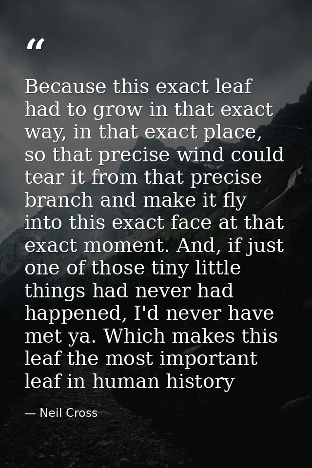 Because this exact leaf had to grow in that exact way, in that exact place, so that precise wind could tear it from that — Neil Cross