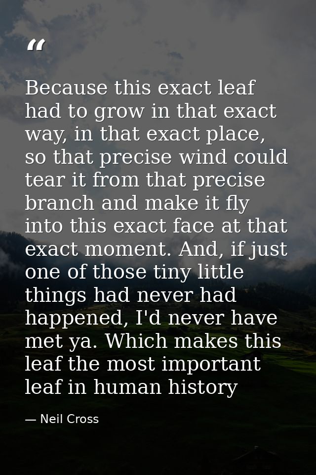 Because this exact leaf had to grow in that exact way, in that exact place, so that precise wind could tear it from that — Neil Cross