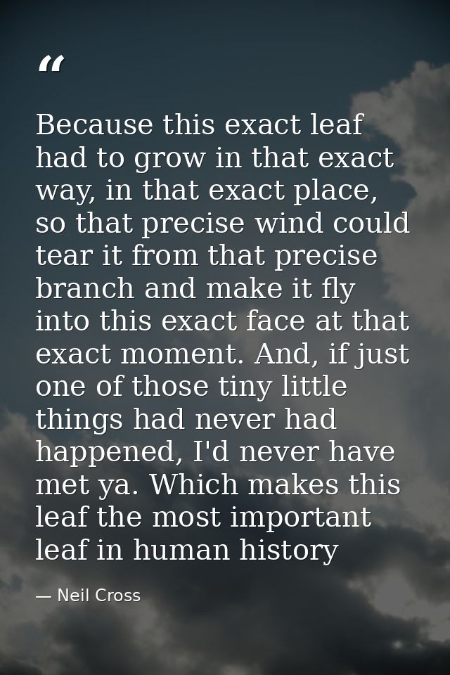 Because this exact leaf had to grow in that exact way, in that exact place, so that precise wind could tear it from that — Neil Cross