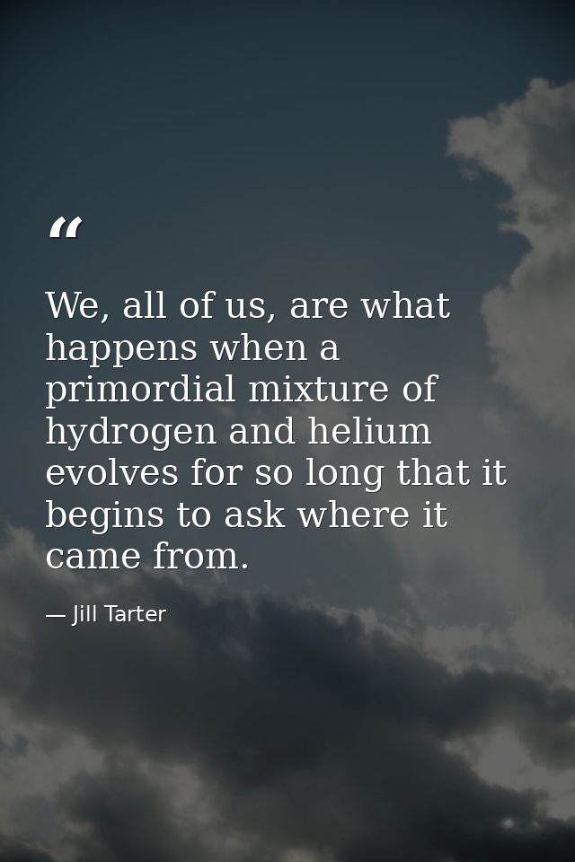 We, all of us, are what happens when a primordial mixture of hydrogen and helium evolves for so long that it begins to a — Jill Tarter
