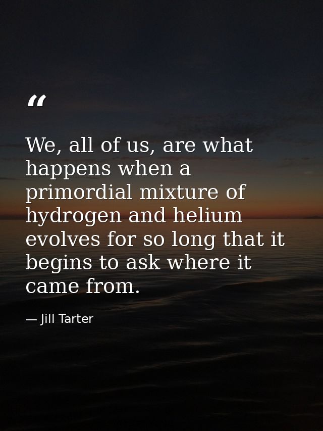 We, all of us, are what happens when a primordial mixture of hydrogen and helium evolves for so long that it begins to a — Jill Tarter