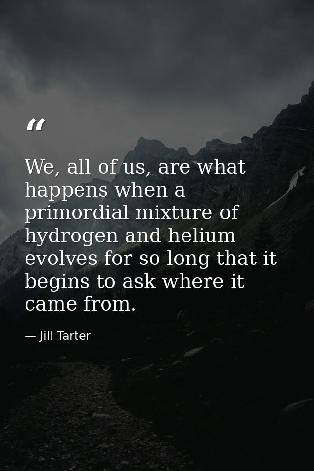 We, all of us, are what happens when a primordial mixture of hydrogen and helium evolves for so long that it begins to a — Jill Tarter