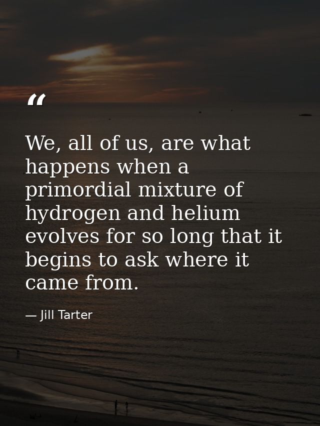 We, all of us, are what happens when a primordial mixture of hydrogen and helium evolves for so long that it begins to a — Jill Tarter