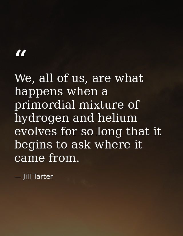 We, all of us, are what happens when a primordial mixture of hydrogen and helium evolves for so long that it begins to a — Jill Tarter