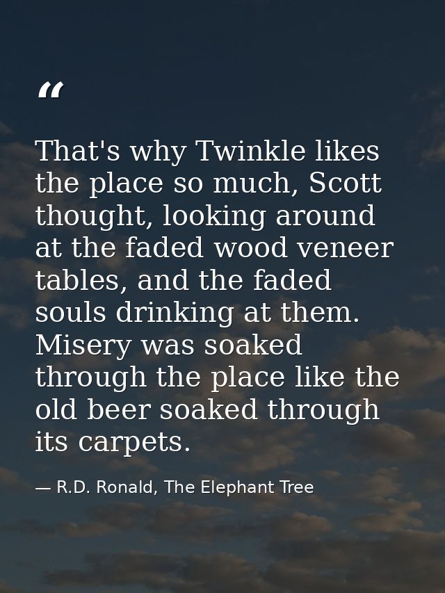 That's why Twinkle likes the place so much, Scott thought, looking around at the faded wood veneer tables, and the faded — R.D. Ronald, The Elephant Tree