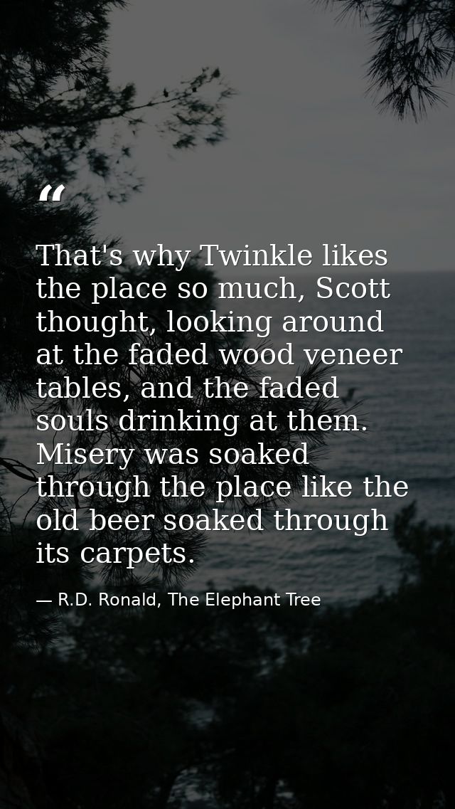 That's why Twinkle likes the place so much, Scott thought, looking around at the faded wood veneer tables, and the faded — R.D. Ronald, The Elephant Tree