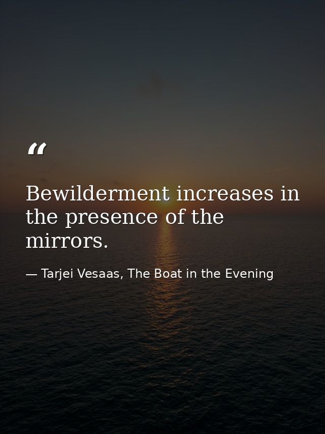 Bewilderment increases in the presence of the mirrors. — Tarjei Vesaas, The Boat in the Evening